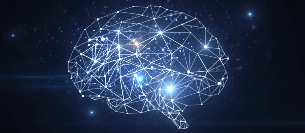 Brain and neural activity representing neurofeedback therapy in Conroe TX