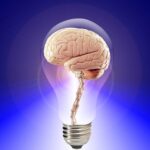 Brain graphic representing neurofeedback and EMDR therapy