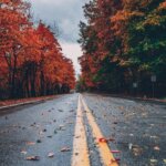 Road Through Autumn Trees After Rain – Symbolizing Hope and Change