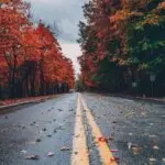 Road Through Autumn Trees After Rain – Symbolizing Hope and Change
