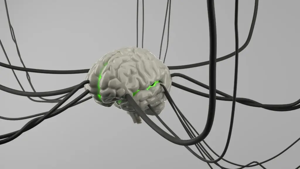 3D illustration of a human brain connected by neural pathways representing neurocounseling and brain-based therapy