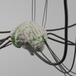 3D illustration of a human brain connected by neural pathways representing neurocounseling and brain-based therapy