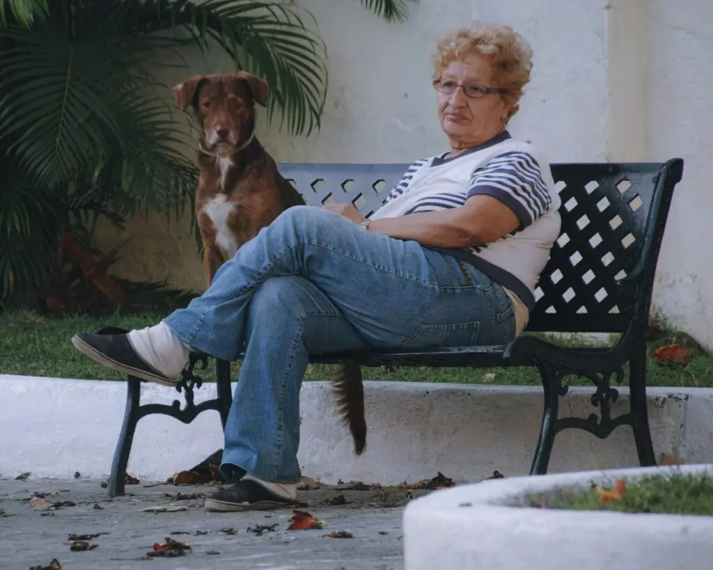 Person sitting quietly on a bench with a dog reflecting during depression recovery and emotional healing through brain-based therapies
